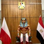 Profile picture of Hany Youssef
